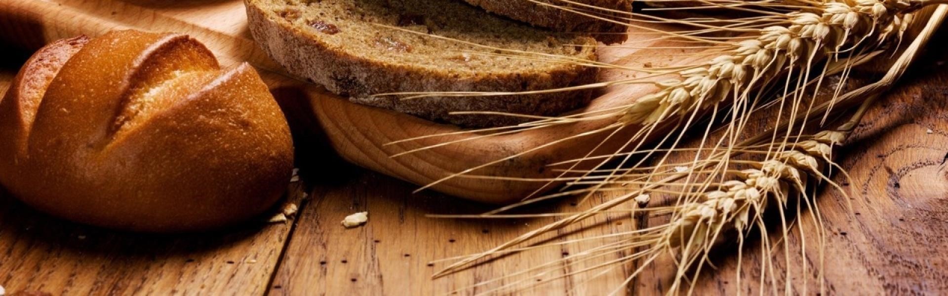 Over de familienaam Bakker Bakker